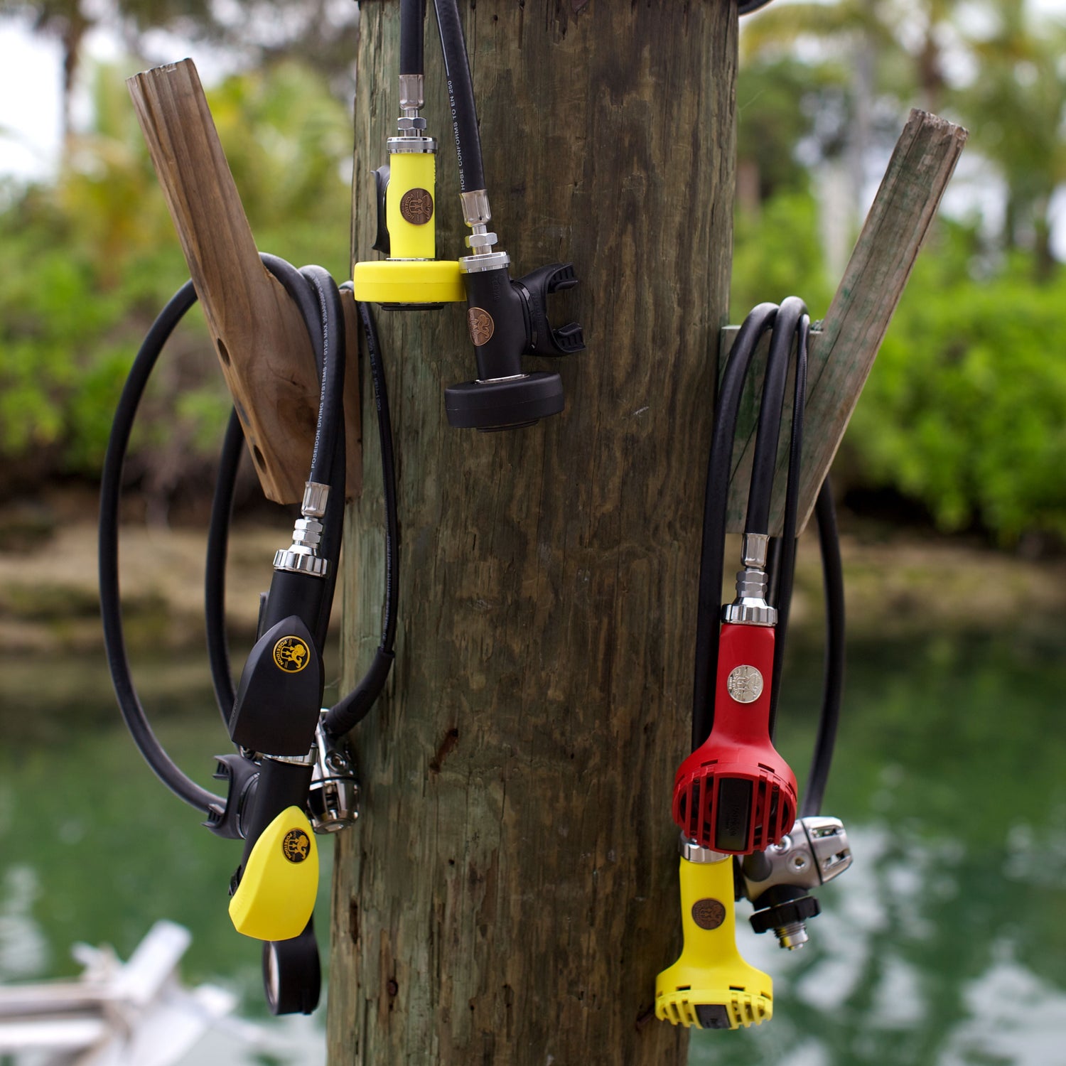 מערכות נשימה